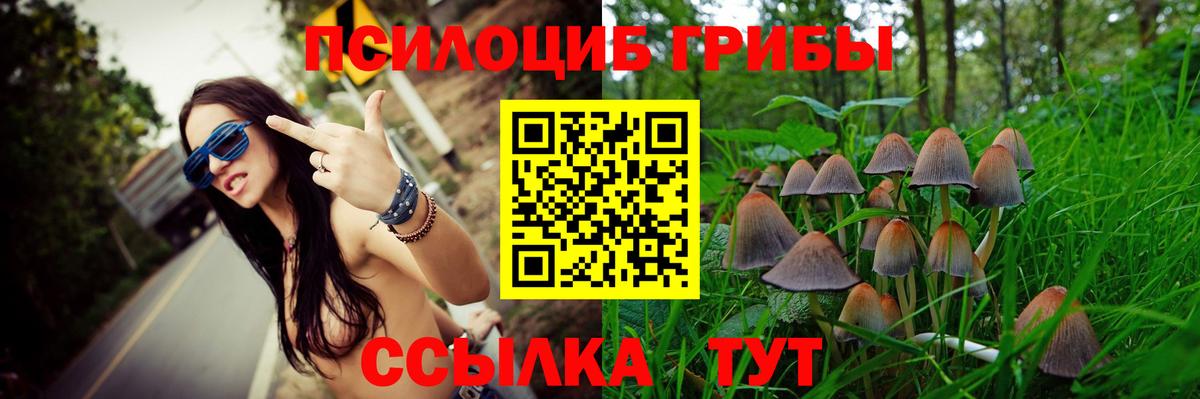 Галлюциногенные грибы Psilocybe  Псилоцибиновые грибы прущие грибы  Кушва  Вход с VPN 